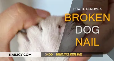 Emergency Dog Nail Removal: Broken Nails