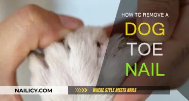 Trimming Your Dog's Nails: A Step-by-Step Guide