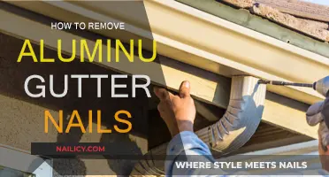 Efficiently Removing Aluminum Gutter Nails: A Step-by-Step Guide