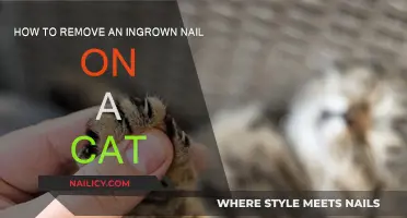 Treating Your Cat's Ingrown Nails at Home