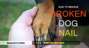 Emergency Dog Nail Removal: Step-by-Step Guide