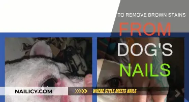 Keep Your Dog's Nails Clean and Stain-Free
