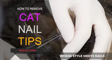 Efficiently Removing Cat Nail Tips: A Step-by-Step Guide