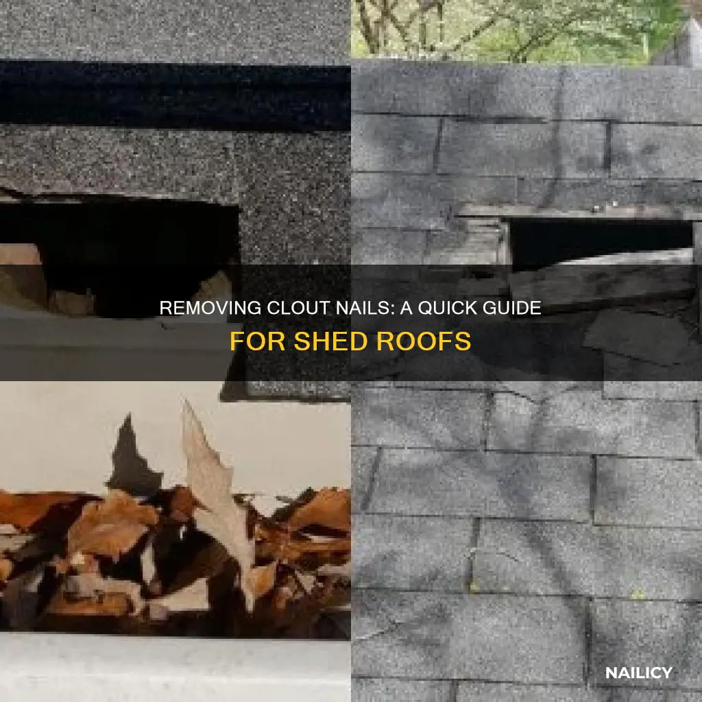 how to remove clout nails for shed roof