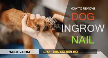 Treating Your Dog's Ingrown Nails at Home