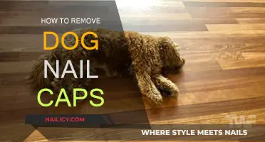 Removing Dog Nail Caps: A Step-by-Step Guide