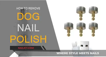 Removing Dog Nail Polish: A Step-by-Step Guide
