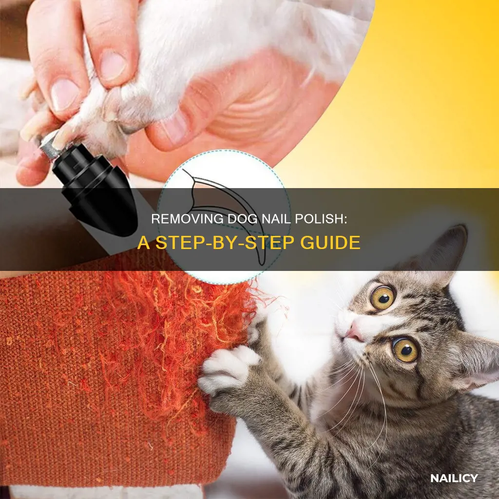how to remove dog nail polish