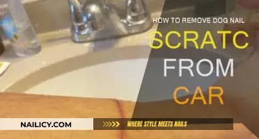 Erase Dog Nail Scratches from Your Car's Interior