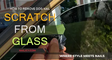 Erase Dog Nail Scratches from Glass: A Simple Guide