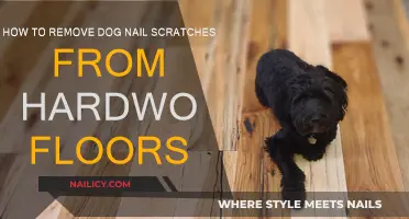 Erase Dog Nail Scratches from Hardwood Floors: Effective Methods