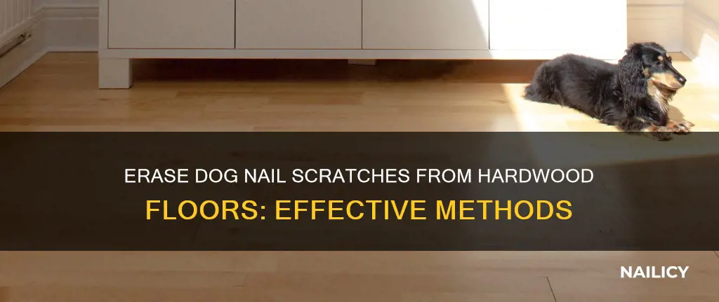how to remove dog nail scratches from hardwood floors