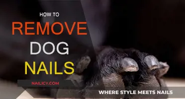 Trimming Dog Nails: A Step-by-Step Guide