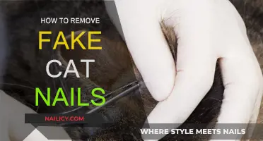 Removing Fake Cat Nails: A Step-by-Step Guide