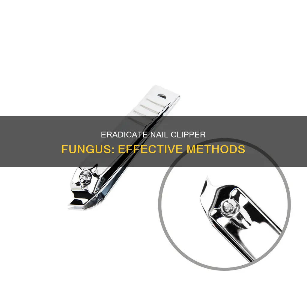 how to remove fungus from nail clipers