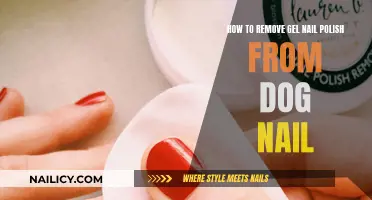 Removing Gel Nail Polish from Dog Nails Safely and Effectively