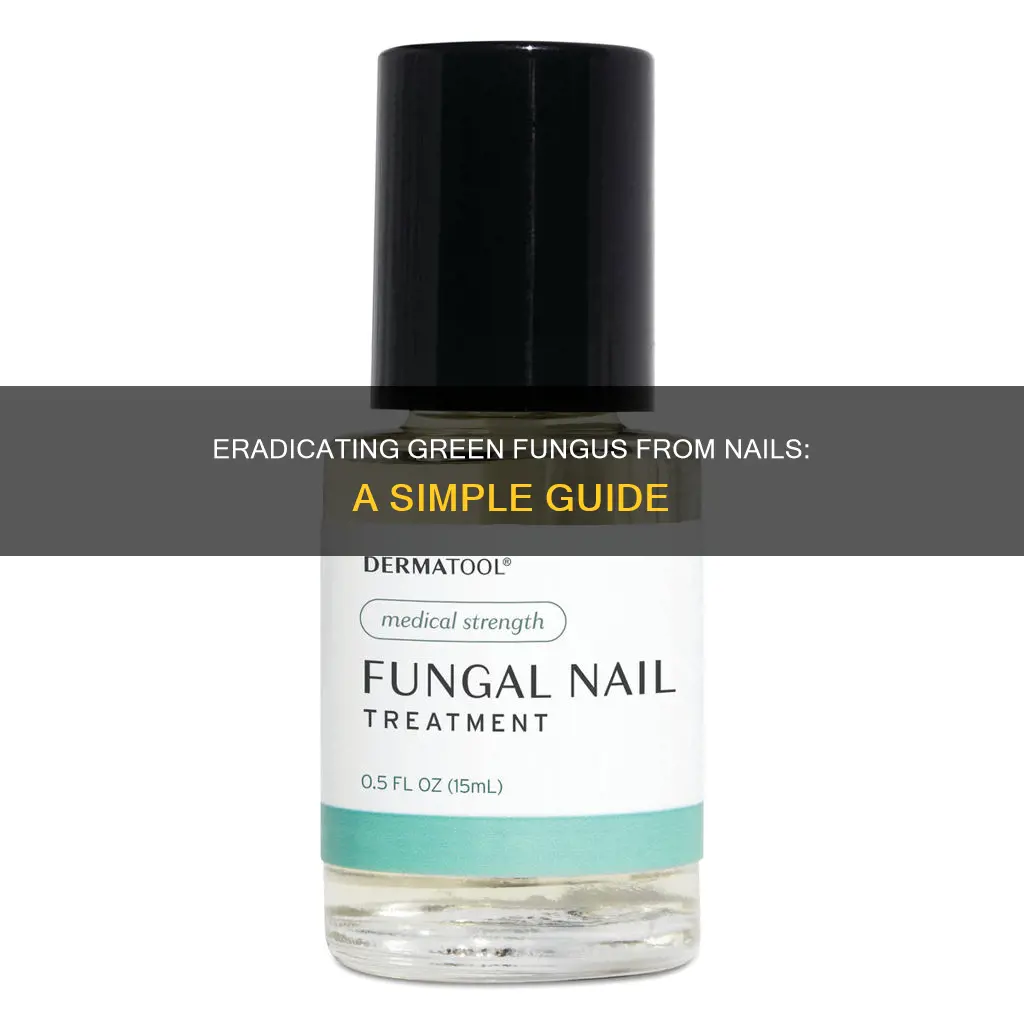 how to remove green fungus from nails