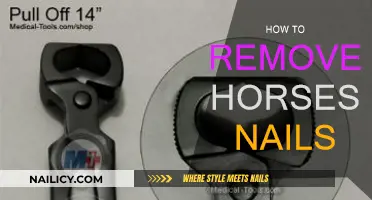 Efficiently Removing Horseshoe Nails: A Step-by-Step Guide