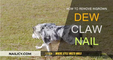 Removing Ingrown Dew Claw Nails: A Step-by-Step Guide