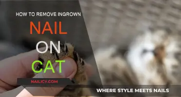 Treating Your Cat's Ingrown Nails at Home