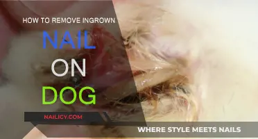 Treating Your Dog's Ingrown Nails at Home