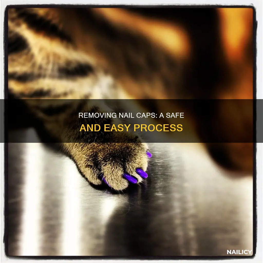how to remove kitty nail caps