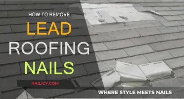 Efficiently Removing Lead Roofing Nails: A Step-by-Step Guide