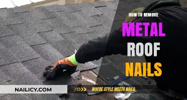 Efficiently Removing Metal Roof Nails: A Step-by-Step Guide