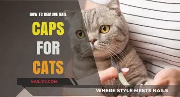 The Safe Way to Remove Your Cat's Nail Caps