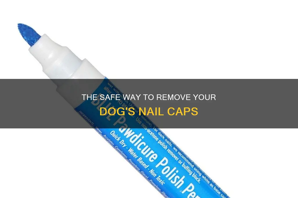 how to remove nail caps for dogs