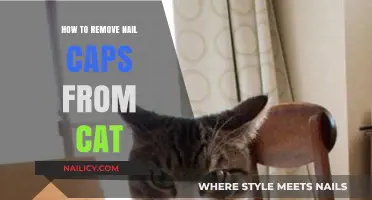 The Safe Way to Remove Your Cat's Nail Caps