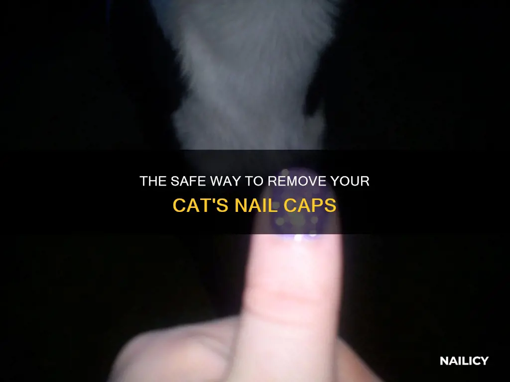 how to remove nail caps from cat