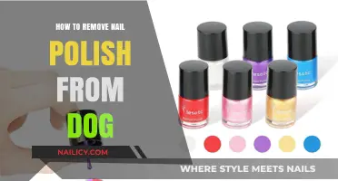 Safe Ways to Remove Nail Polish from Your Dog's Paws