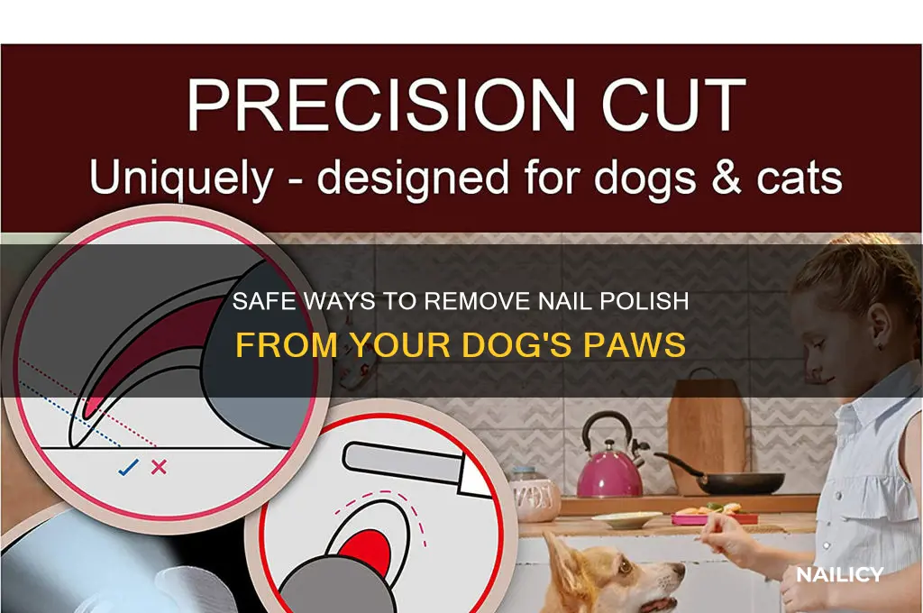 how to remove nail polish from dog