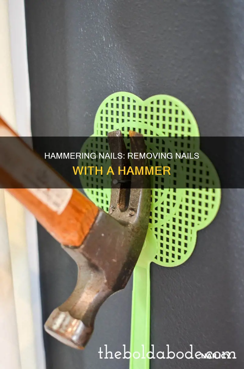 how to remove nail with hammer