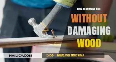 Removing Nails from Wood: Tips to Avoid Damage