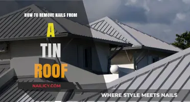 Tin Roof Nail Removal: Easy and Quick Guide