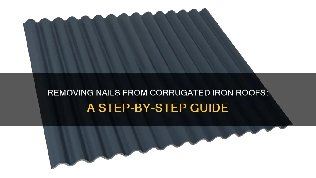 how to remove nails from corrugated iron roof