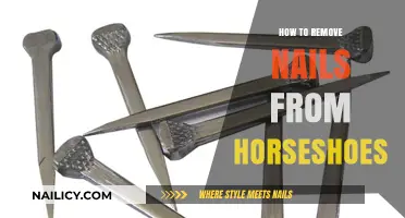 Efficient Horseshoe Nail Removal: A Step-by-Step Guide