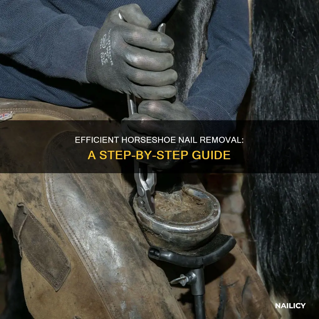 how to remove nails from horseshoes