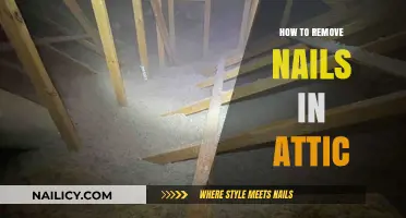 Attic Nail Removal: A Step-by-Step Guide
