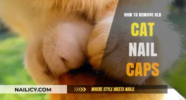 Removing Old Cat Nail Caps: A Step-by-Step Guide
