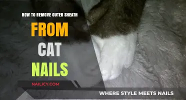 Trimming Cat Nails: Removing the Outer Sheath
