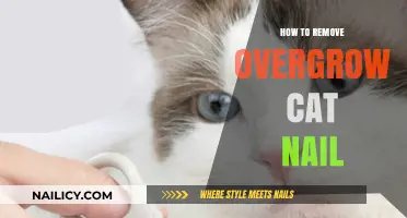 Trimming Your Cat's Overgrown Nails: A Step-by-Step Guide