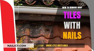 Removing Roof Tiles: A Safe Approach to Nail Extraction