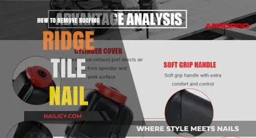 Removing Roofing Ridge Tile Nails: A Step-by-Step Guide