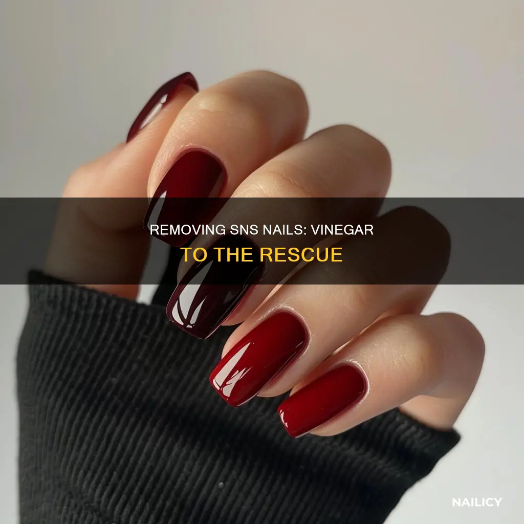 how to remove sns nails with vinegar