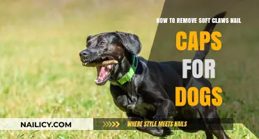 Soft Claws Nail Caps: Easy, Safe Removal for Dogs