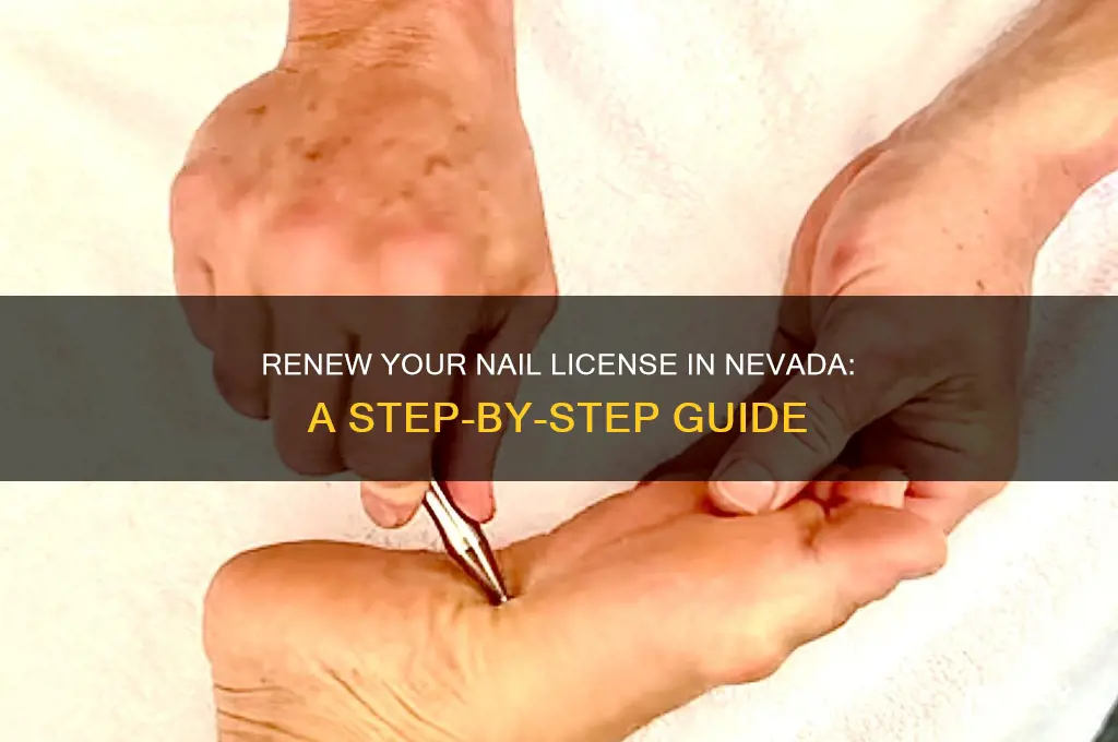 how to renew a nail license in nv