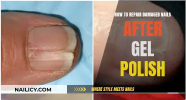 Repairing Nails: Post-Gel Polish Care and Treatment